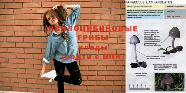 гидропоника Магадан