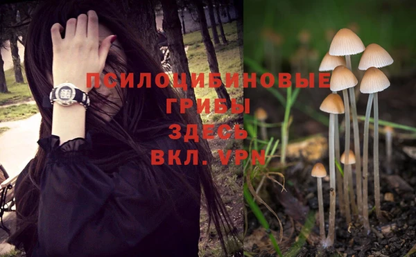 гидропоника Магадан
