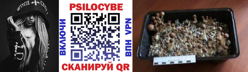 Псилоцибиновые грибы ЛСД  где купить наркотик  Туапсе 